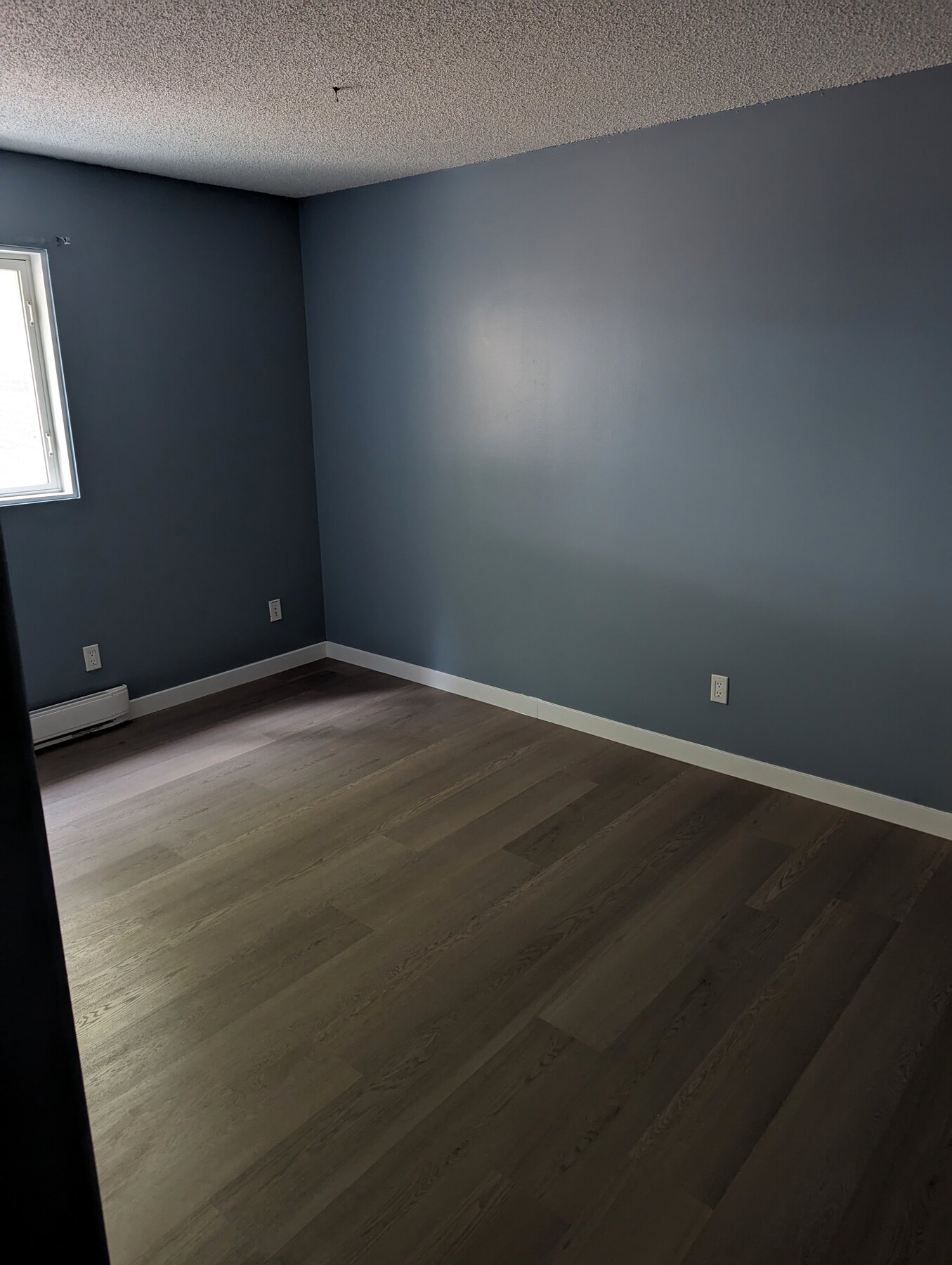 Clean painted room with finished wood-look flooring